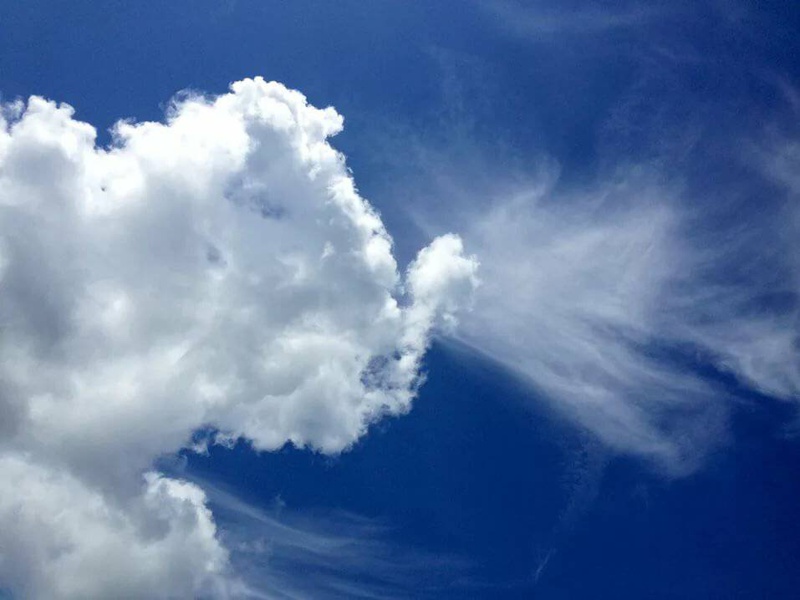 Обитатель облаков. Облака форма. На что похожи облака. Облака разной формы. Фигуры из облаков.